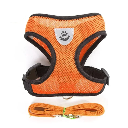 Harnais orange et noir pour petit chien avec sa laisse assortie. Confortable, convient aux petits chiens, chihuahuas, ou aux chats.