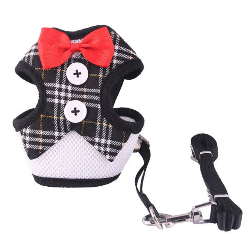 Chihuahua Harness: Small Plaid Tuxedo + Leash