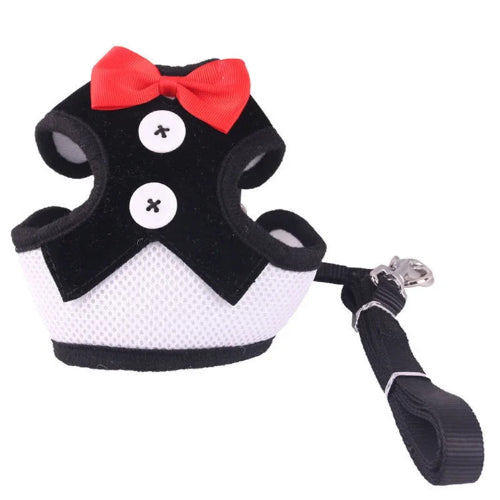 Harnais Chihuahua : Petit Smoking Noir + Laisse