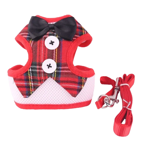 Harnais pour chiens en forme de petit smoking rouge avec sa laisse assortie. Confortable, convient aux petits chiens, chihuahuas, ou aux chats. Vendu dans la boutique « Mon Petit Chihuahua »