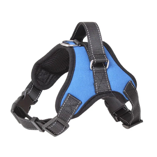 Harnais renforcé bleu et noir pour petit chien. Réglable et confortable, convient aux petits chiens, chihuahuas, ou aux chats.