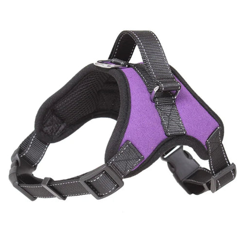 Harnais renforcé violet pour petit chien. Réglable et confortable, convient aux petits chiens, chihuahuas, ou aux chats.
