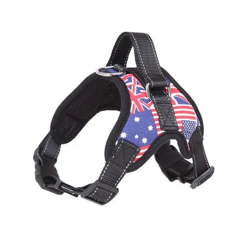 Harnais renforcé aux motifs drapeaux USA et UK pour petit chien. Réglable et confortable, convient aux petits chiens, chihuahuas, ou aux chats.