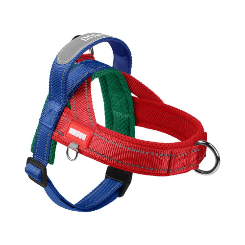Harnais Chihuahua : Résistant Bleu et Rouge