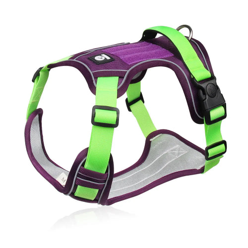 Harnais pour chiens résistant violet et vert. Confortable, convient aux petits chiens, chihuahuas, ou aux chats. Vendu dans la boutique « Mon Petit Chihuahua »