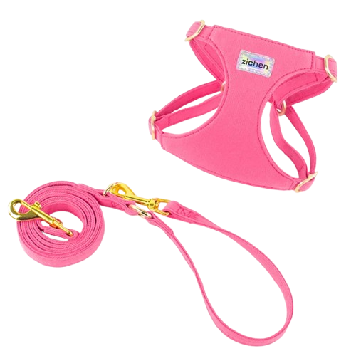 Harnais Chihuahua : Rose et Doré + Laisse