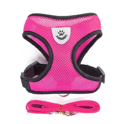 Harnais rose et noir pour petit chien avec sa laisse assortie. Confortable, convient aux petits chiens, chihuahuas, ou aux chats.