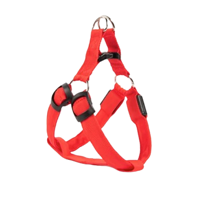 Harnais rouge lumineux LED pour petit chien. Réglable et confortable, convient aux petits chiens, chihuahuas, ou aux chats.