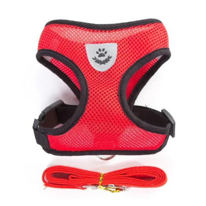 Harnais rouge et noir pour petit chien avec sa laisse assortie. Confortable, convient aux petits chiens, chihuahuas, ou aux chats.