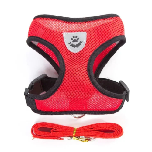 Harnais rouge et noir pour petit chien avec sa laisse assortie. Confortable, convient aux petits chiens, chihuahuas, ou aux chats.