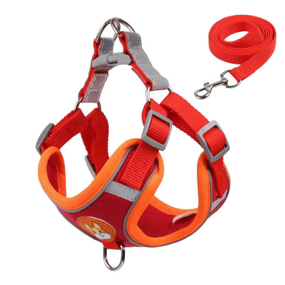 Harnais rouge et orange pour petit chien avec sa laisse assortie. Confortable, convient aux petits chiens, chihuahuas, ou aux chats.