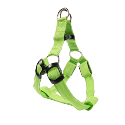 Harnais vert lumineux LED pour petit chien. Réglable et confortable, convient aux petits chiens, chihuahuas, ou aux chats.