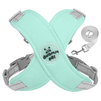 Harnais vert et gris et sa laisse assortie pour petit chien. Réglable et confortable, convient aux petits chiens, chihuahuas, ou aux chats.