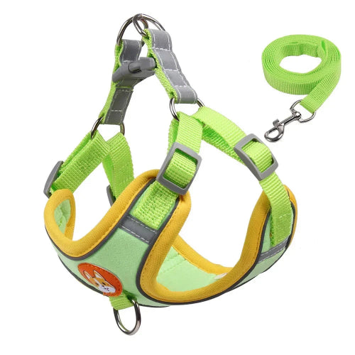 Harnais Chihuahua : Vert et Jaune + Laisse
