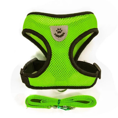 Harnais vert et noir pour petit chien avec sa laisse assortie. Confortable, convient aux petits chiens, chihuahuas, ou aux chats.