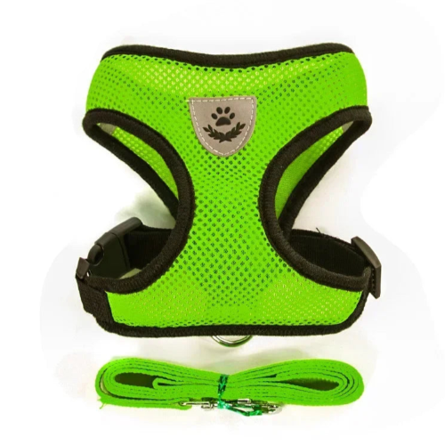 Harnais vert et noir pour petit chien avec sa laisse assortie. Confortable, convient aux petits chiens, chihuahuas, ou aux chats.