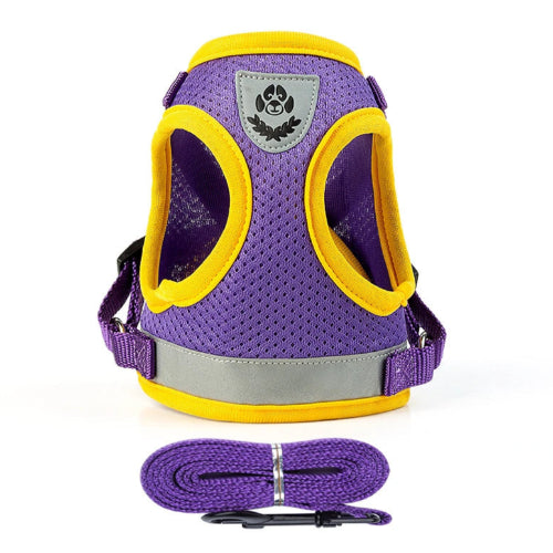 Harnais pour chiens violet réfléchissant. Vendu avec sa Laisse assortie. Confortable, convient aux petits chiens, chihuahuas, ou aux chats. Vendu dans la boutique « Mon Petit Chihuahua »