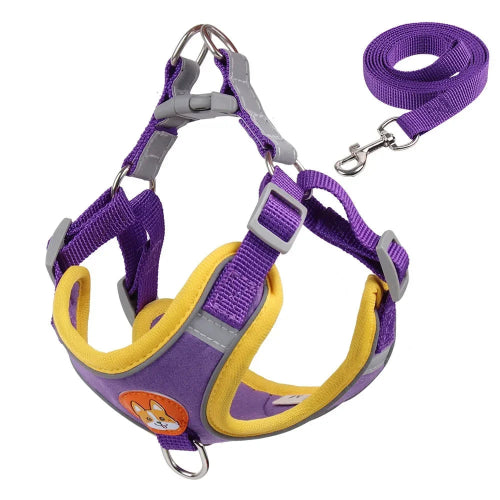 Harnais violet et jaune pour petit chien avec sa laisse assortie. Confortable, convient aux petits chiens, chihuahuas, ou aux chats.