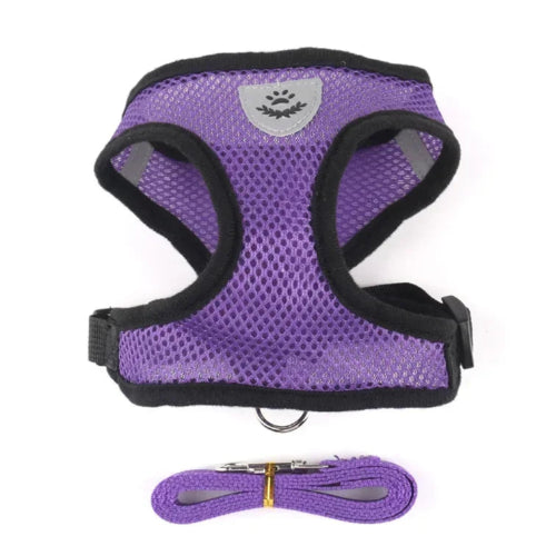 Harnais violet et noir pour petit chien avec sa laisse assortie. Confortable, convient aux petits chiens, chihuahuas, ou aux chats.