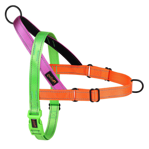Harnais Chihuahua : Orange et Vert en Nylon