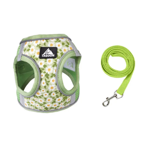 Harnais Chihuahua : Vert résistant motifs Pâquerettes + Laisse