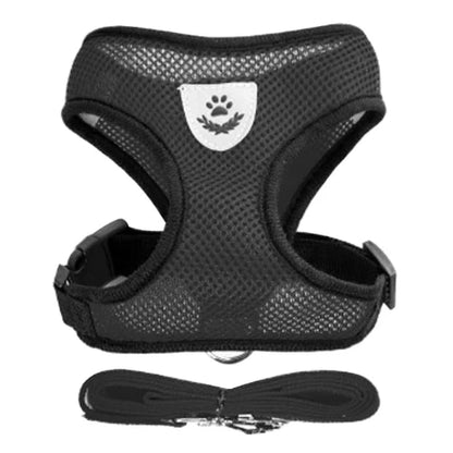 Harnais et laisse noirs pour Chihuahua – Confortables et résistants, parfaits pour promener votre petit chien ou chat