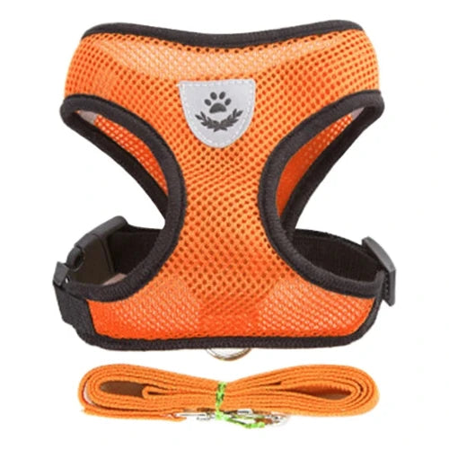 Harnais et laisse oranges pour Chihuahua – Confortables et résistants, parfaits pour promener votre petit chien ou chat