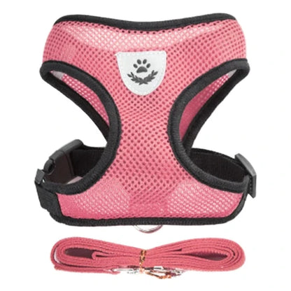 Harnais et laisse roses pour Chihuahua – Confortables et résistants, parfaits pour promener votre petit chien ou chat