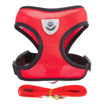 Harnais et laisse rouges pour Chihuahua – Confortables et résistants, parfaits pour promener votre petit chien ou chat