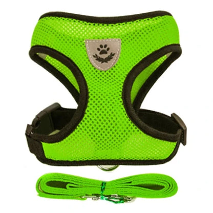 Harnais et laisse verts pour Chihuahua – Confortables et résistants, parfaits pour promener votre petit chien ou chat