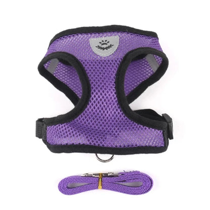 Harnais et laisse violets pour Chihuahua – Confortables et résistants, parfaits pour promener votre petit chien ou chat
