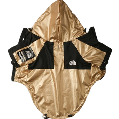 Manteau pour Chihuahua - Imperméable doré et noir – parfait pour protéger votre petit chien ou chat par temps de pluie