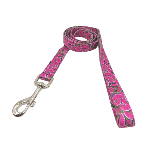 Laisse pour chiens aux motifs Pastèques. Vendu avec son Collier assorti. Confortable, convient aux petits chiens, chihuahuas, ou aux chats. Vendu dans la boutique « Mon Petit Chihuahua »
