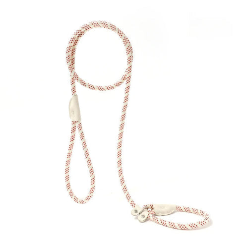 Laisse tressée rouge et blanche pour chiens. A utiliser avec un collier. Pratique, convient aux petits chiens, chihuahuas, ou aux chats. Vendu dans la boutique « Mon Petit Chihuahua »
