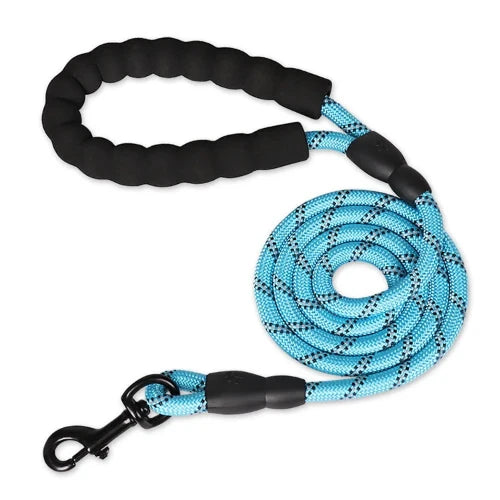 Laisse renforcée réfléchissante bleue pour Chihuahua – Solide et visible, idéale pour promener votre petit chien ou chat
