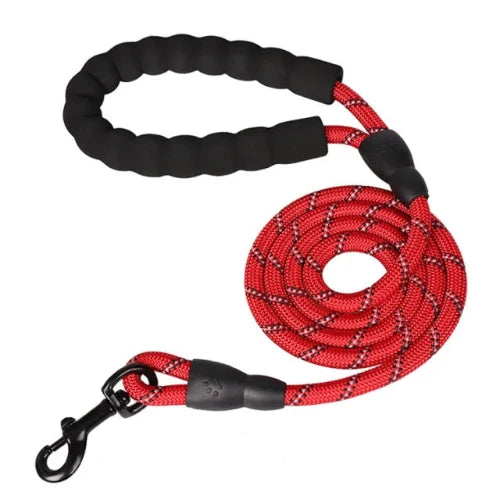 Laisse renforcée réfléchissante rouge pour Chihuahua – Solide et visible, idéale pour promener votre petit chien ou chat
