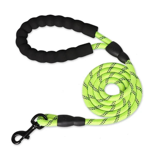 Laisse renforcée réfléchissante verte pour Chihuahua – Solide et visible, idéale pour promener votre petit chien ou chat