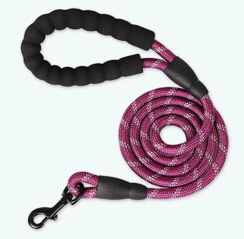 Laisse renforcée réfléchissante violette pour Chihuahua – Solide et visible, idéale pour promener votre petit chien ou chat