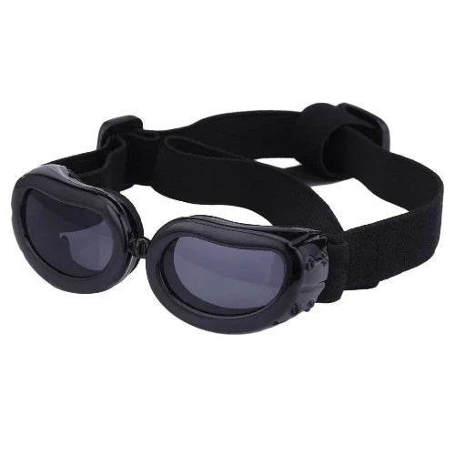 Accessoire pour Chihuahua - Lunettes de protection anti-UV noires – Protègent les yeux de votre petit chien ou chat du soleil