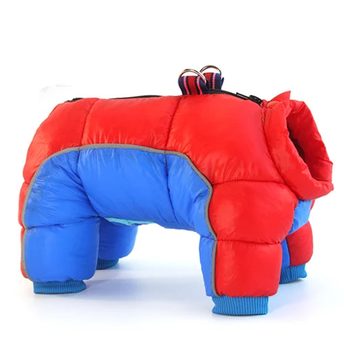 Manteau Chihuahua : Combinaison Rembourrée Rouge & Bleu