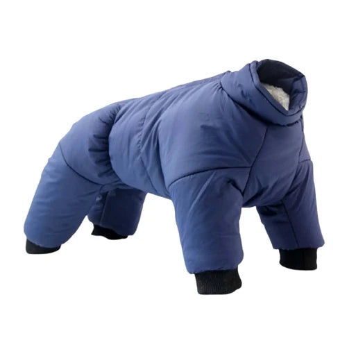 Chihuahua-Mantel: Blauer Winter-Skianzug