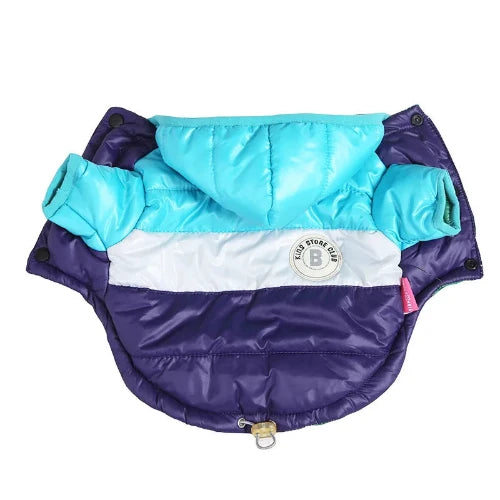 Chihuahua Coat: Blue Hooded Down Jacket