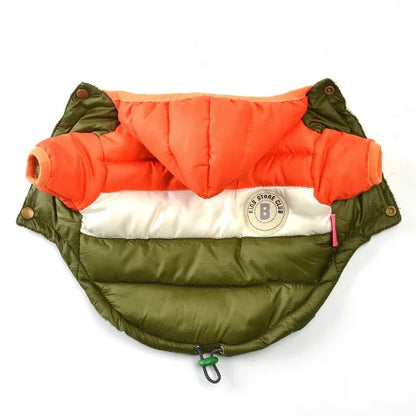 Manteau pour Chihuahua : doudoune orange et verte – Confortable, parfait pour protéger votre petit chien ou chat pendant les promenades