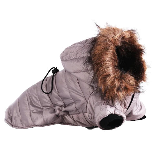 Manteau Chihuahua : Doudoune Col Fourrure Grise