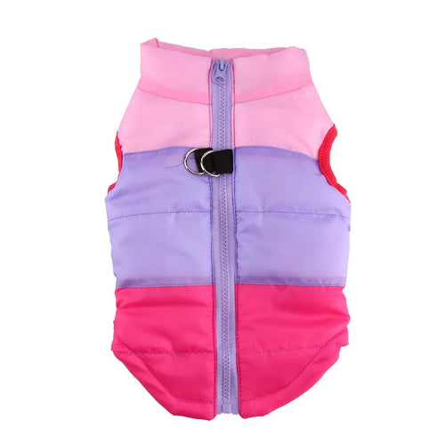 Chihuahua Coat: Pink Purple Down Jacket