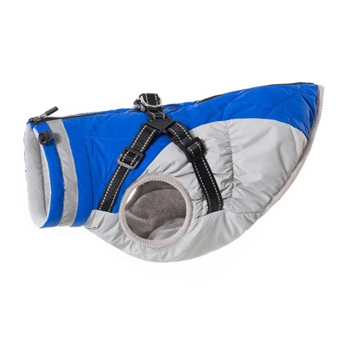 Chihuahua-Mantel: Blau-graue wasserdichte Jacke