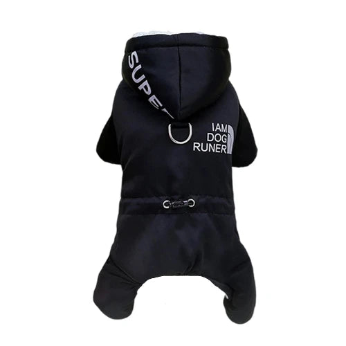 Chihuahua-Mantel: Schwarze wasserdichte Jacke