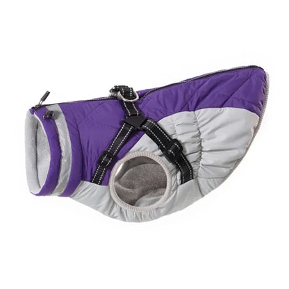 Manteau pour Chihuahua : veste imperméable violet et gris – Confortable, parfait pour protéger votre petit chien ou chat pendant les promenades