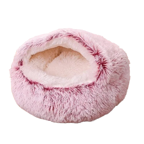 Dog House: Cocoon