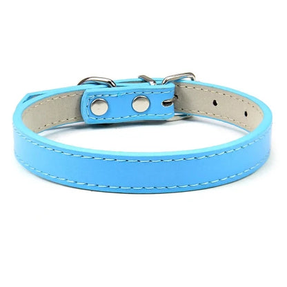 Collier pour Chihuahua en cuir uni bleu. Tendance, pour offrir confort et sécurité à votre petit chien ou chat